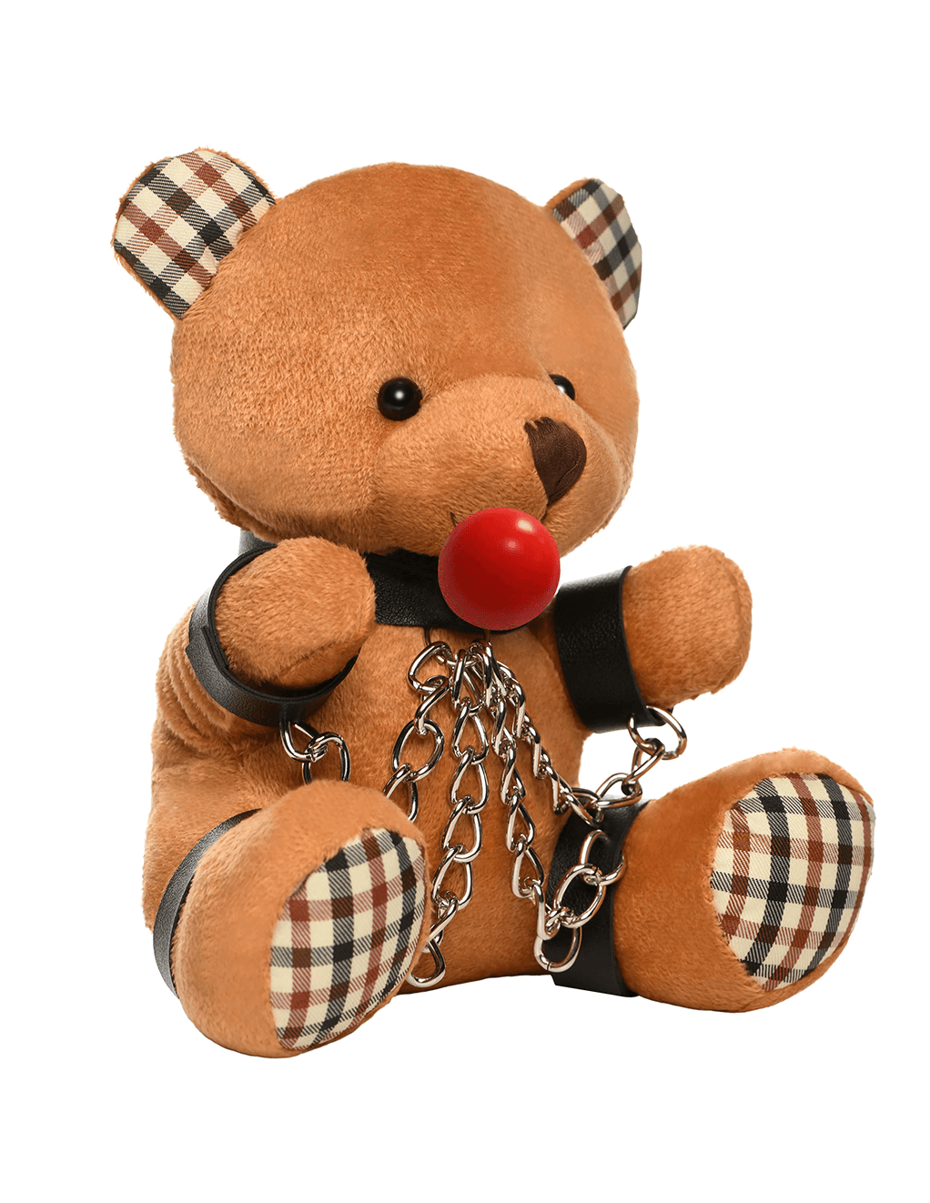 Gagged Teddy Bear