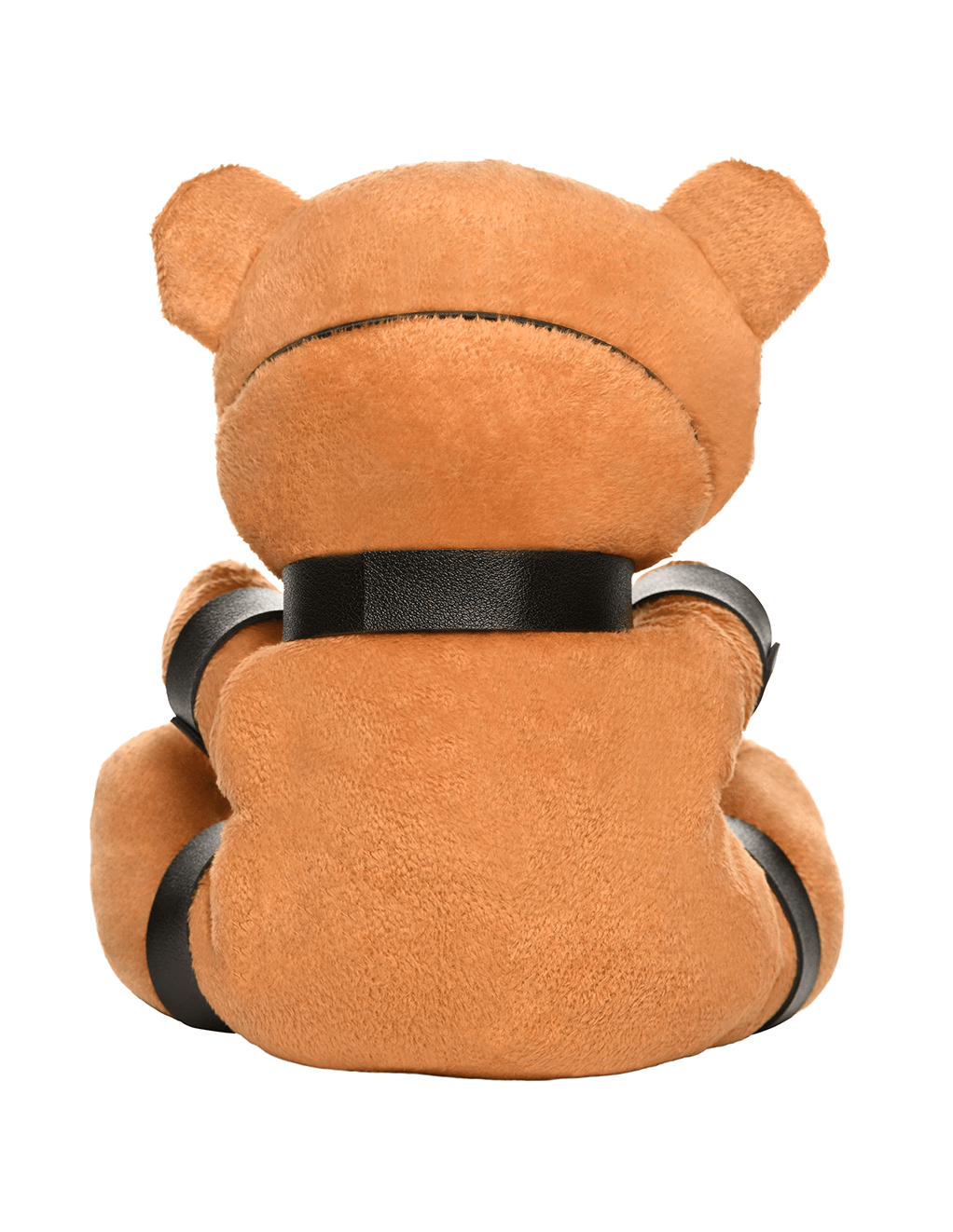 Gagged Teddy Bear