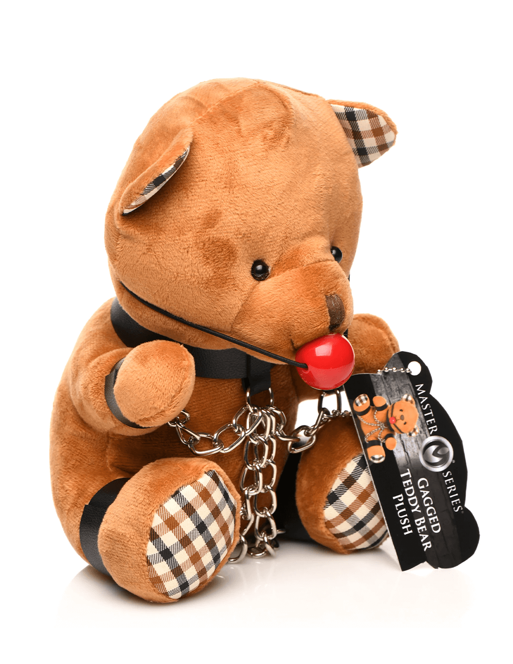 Gagged Teddy Bear