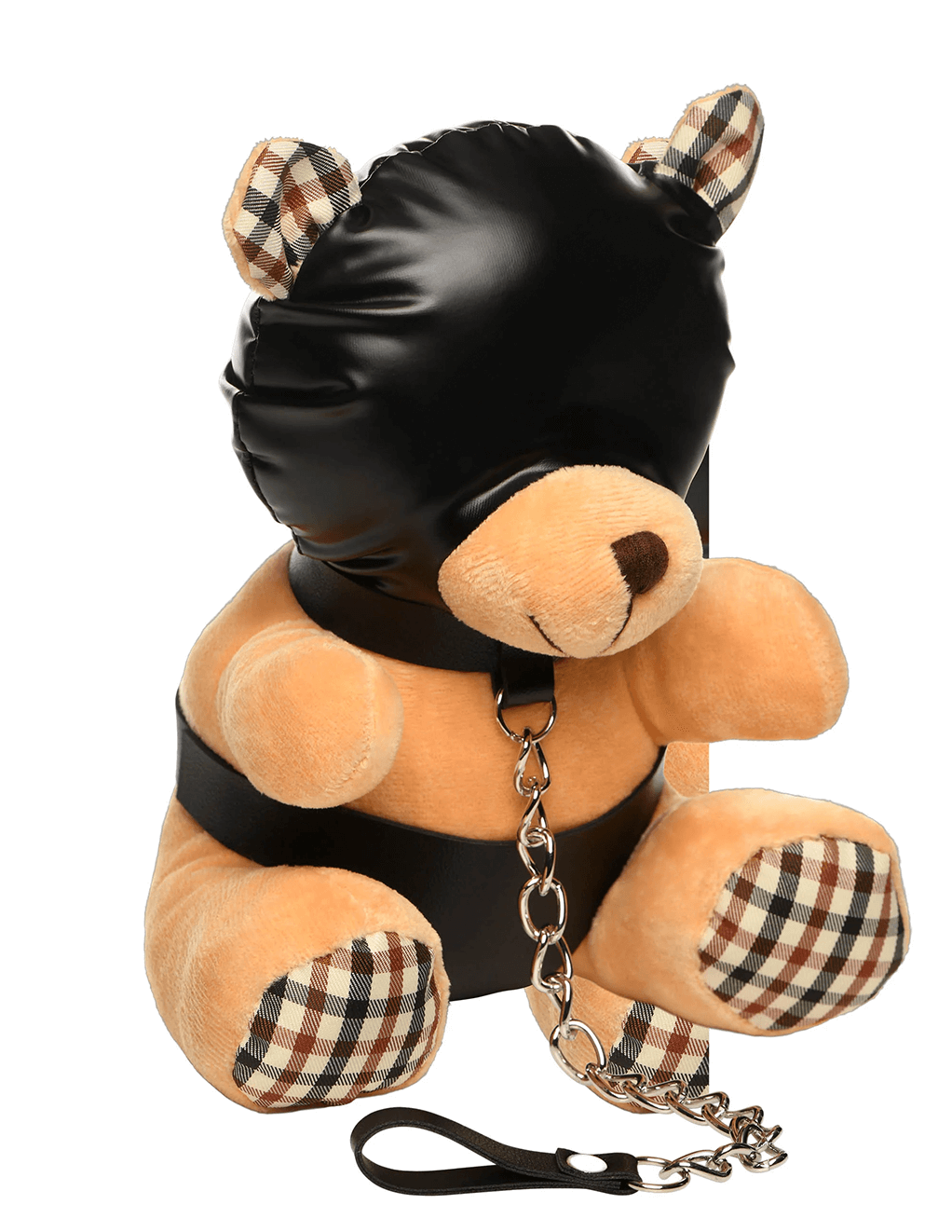 Hooded Teddy Bear