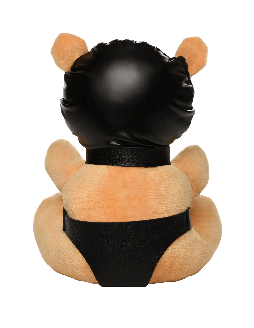 Hooded Teddy Bear