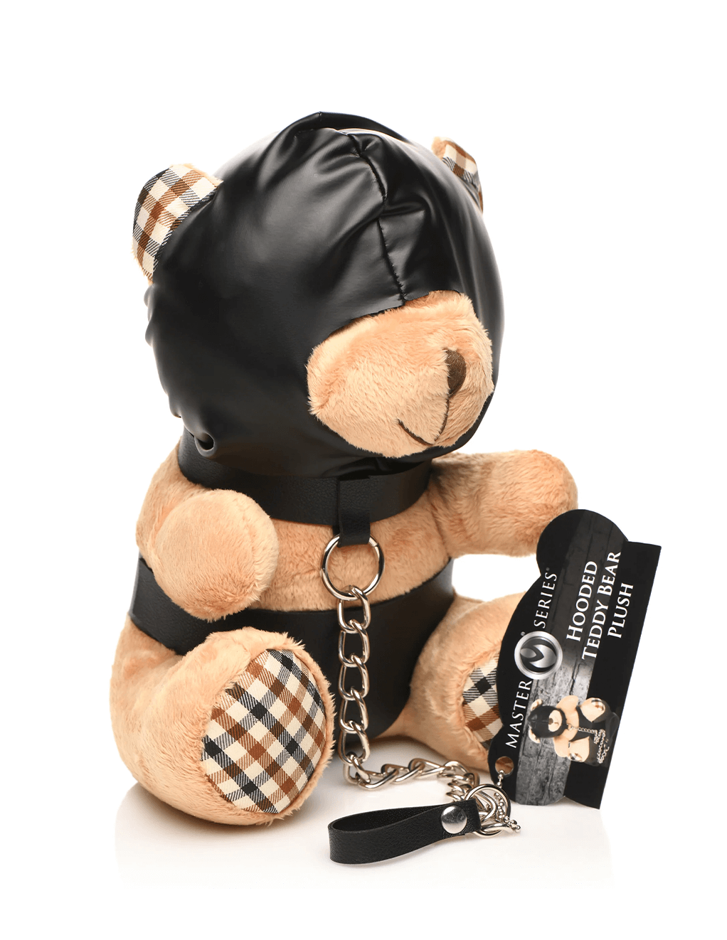 Hooded Teddy Bear