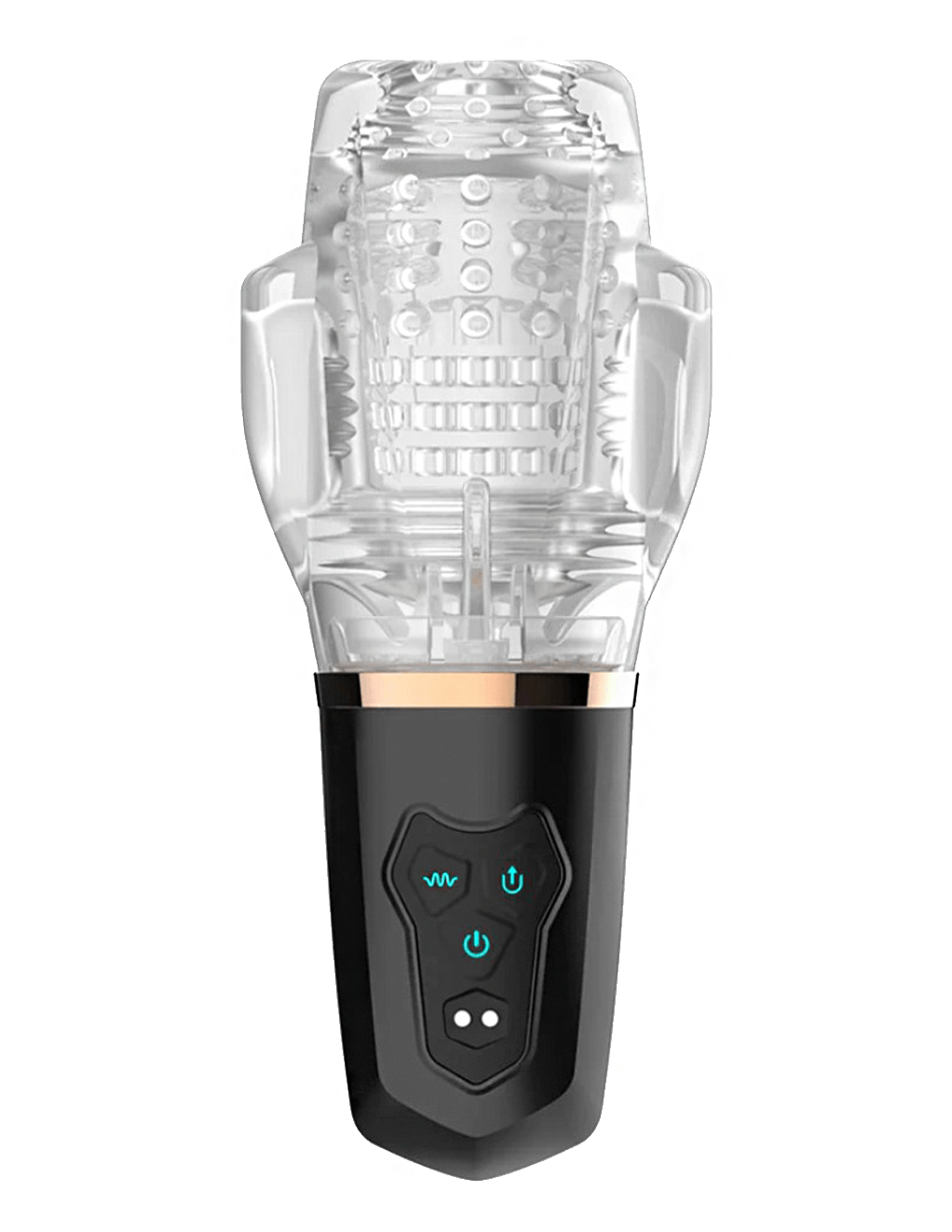 The Male Rose 2 - Main