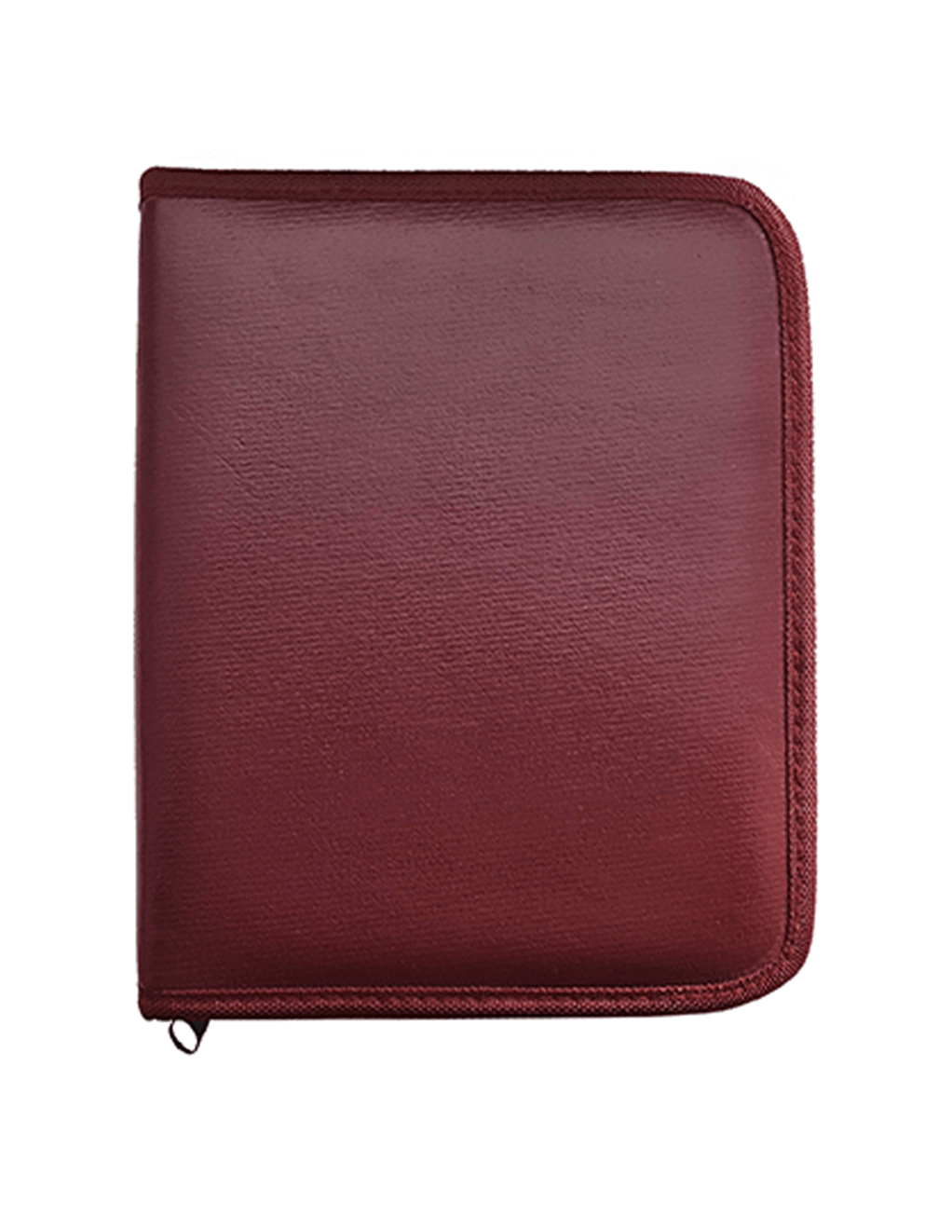 Rouge Thin Stainless Steel 16in Collar - Travel Case
