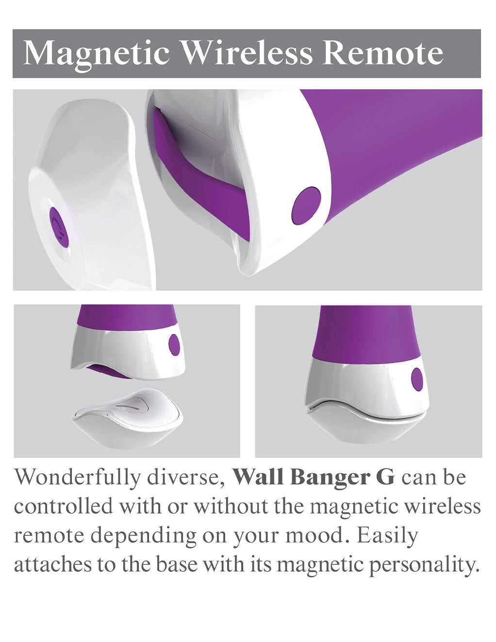 3Some Wall Banger G- Magnetic Remote diagram