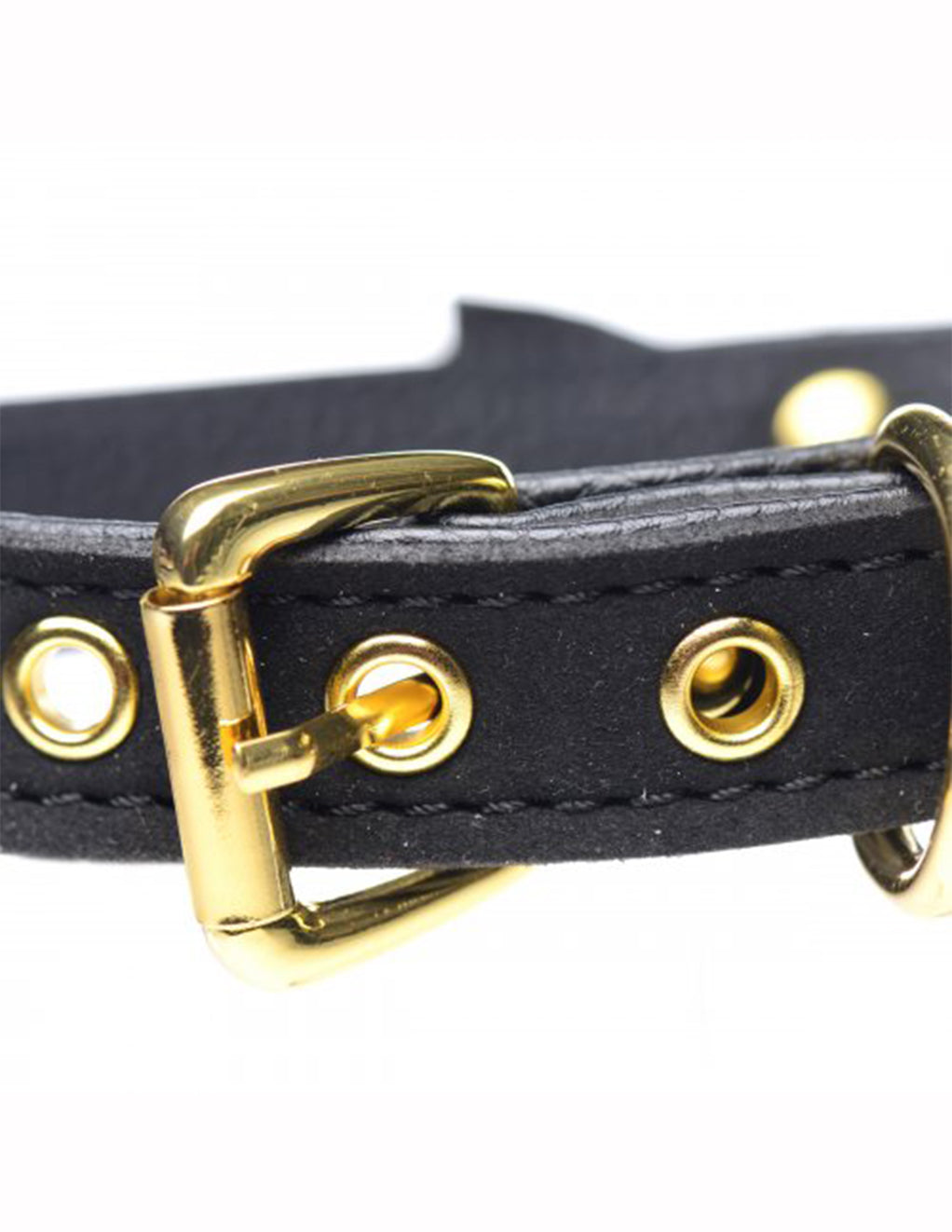 Kitty Cat Bell Collar- Black- Buckle