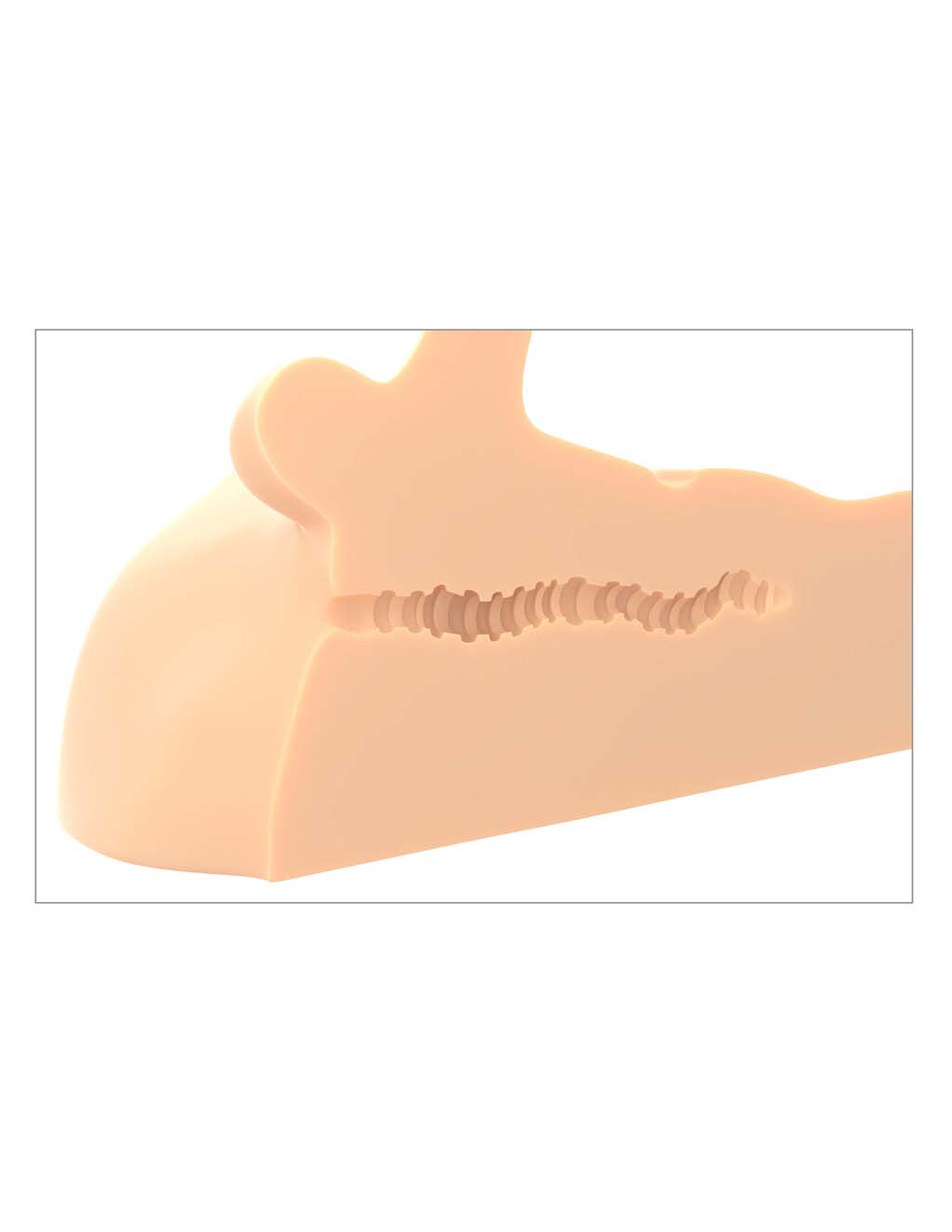 PDX Plus Perfect Ride- inner