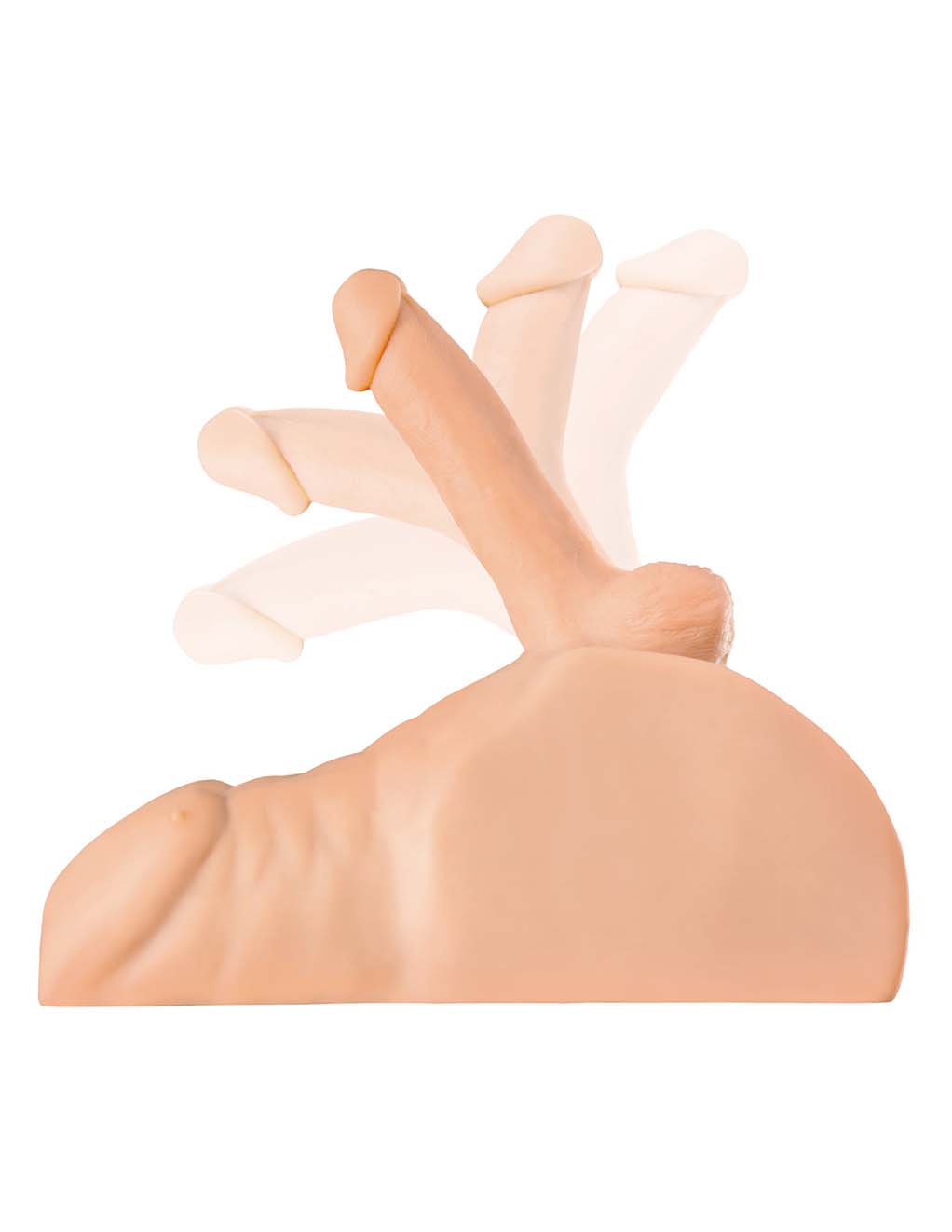 PDX Plus Perfect Ride- light main