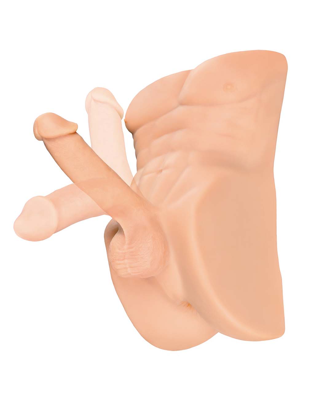 PDX Plus Perfect Ride- upright