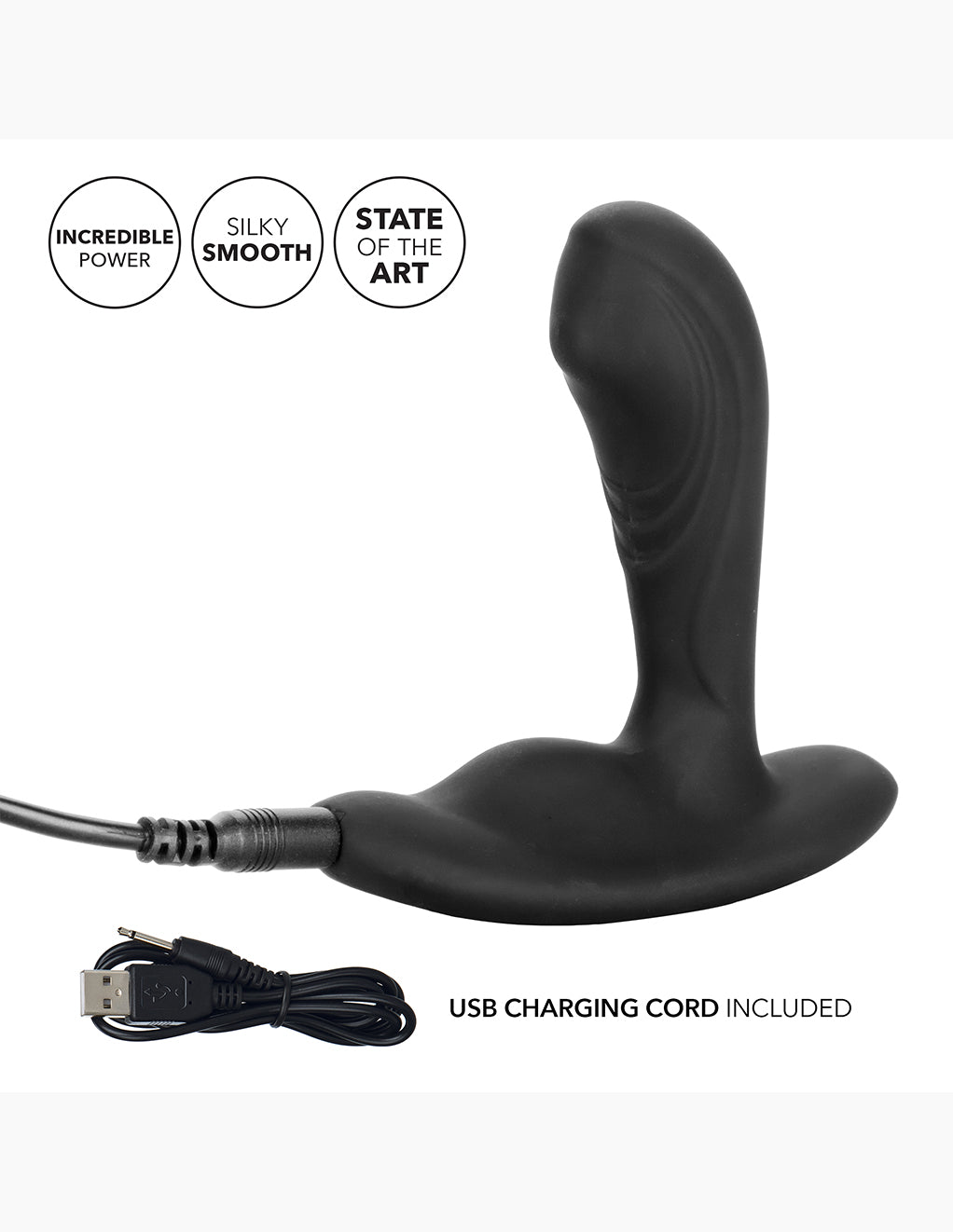 Eclipse Petite Pinpoint Probe- Charger