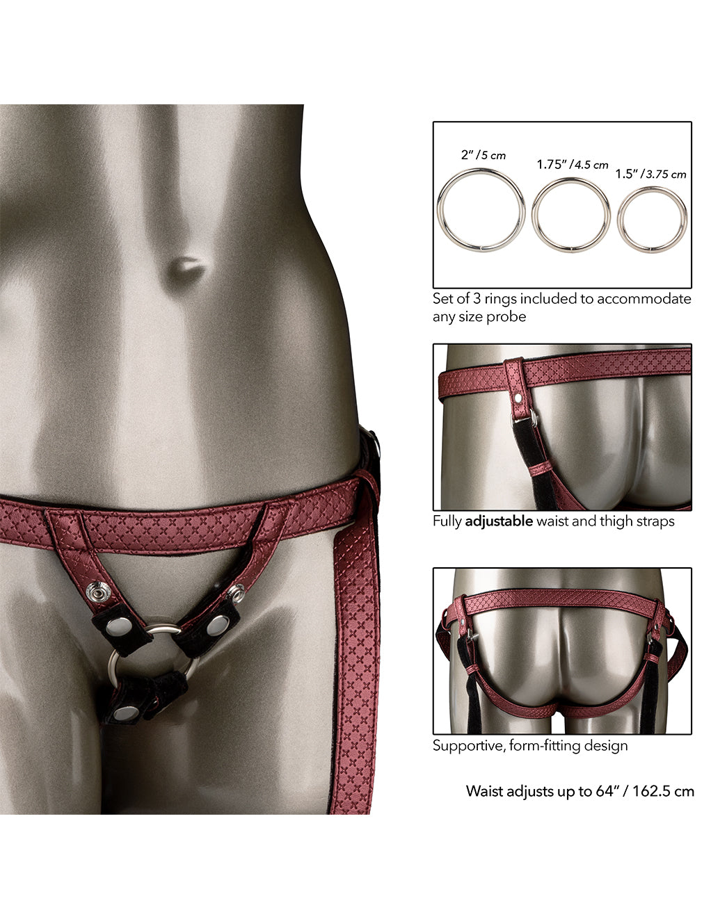 Her Royal Harness Regal Duchess- Specs
