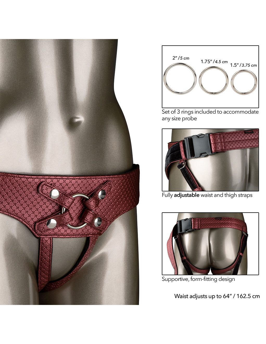 Her Royal Harness Regal Empress- Size Dimensions and Specs