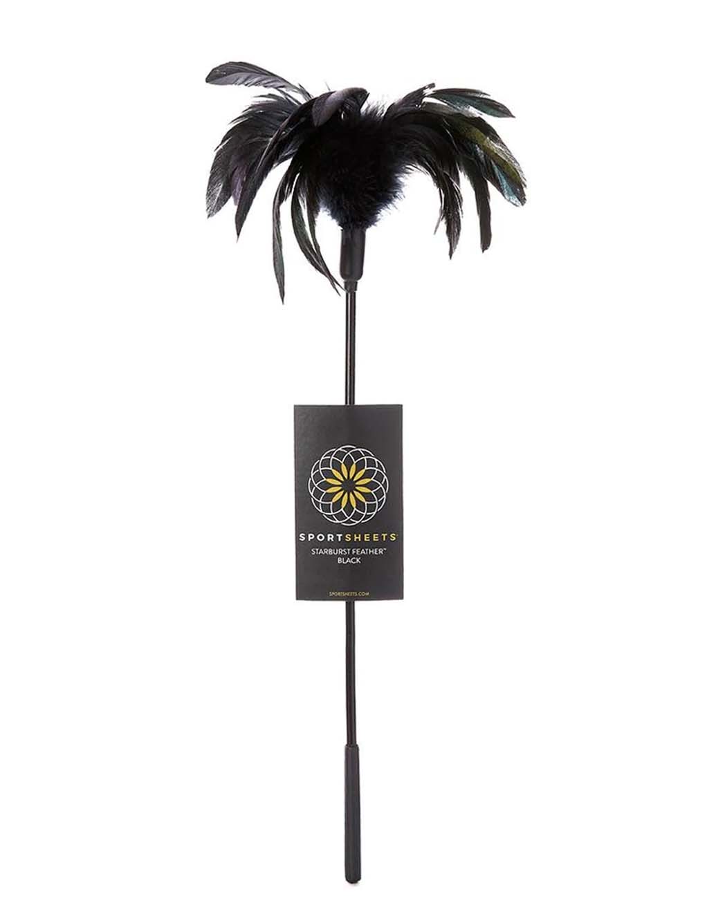 Sex & Mischief Starburst Feather- Black- Main