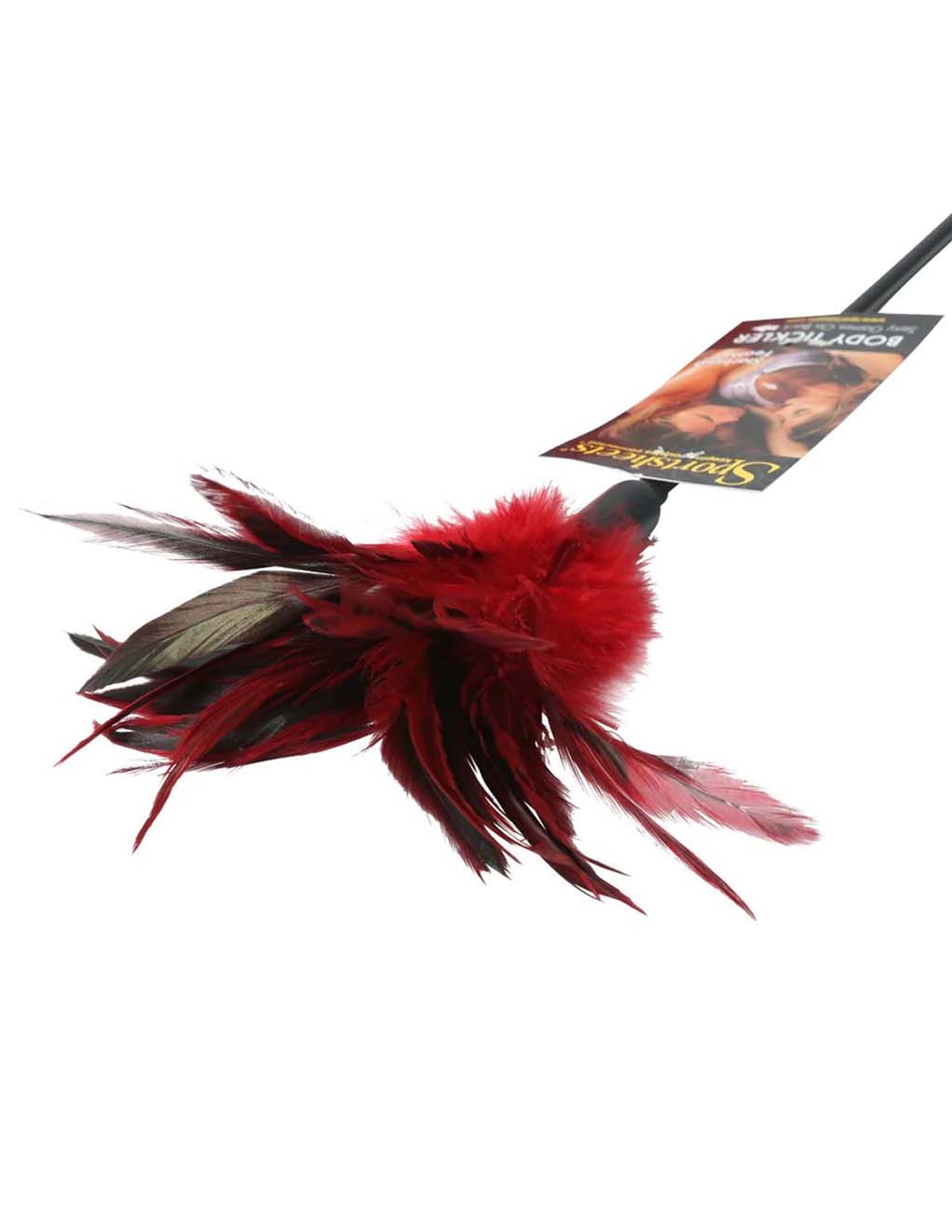 Sex & Mischief Starburst Feather