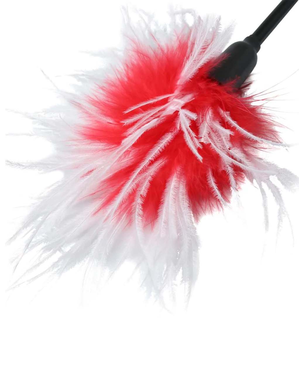 Sex & Mischief Whip & Tickle- Red- Detail