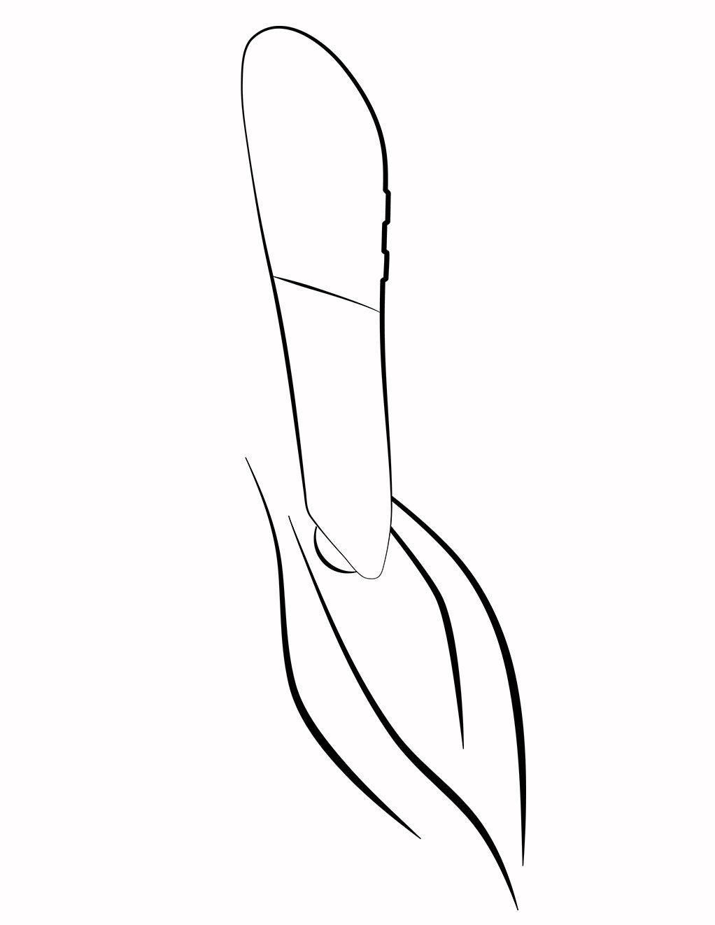 We-Vibe Tango X- Illustration- Tango X on Clitoris