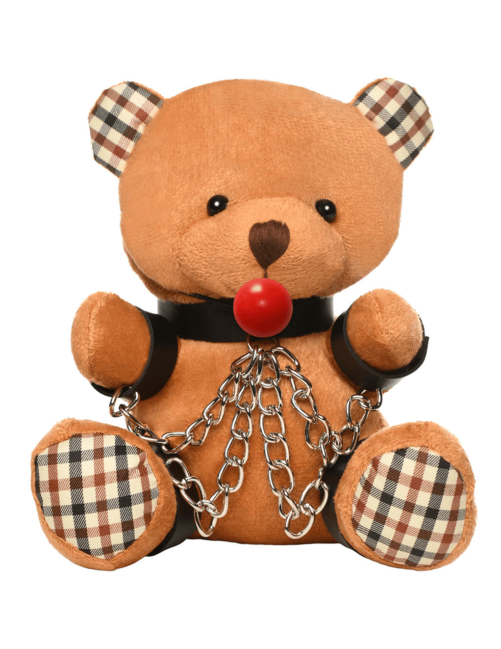 Gagged Teddy Bear