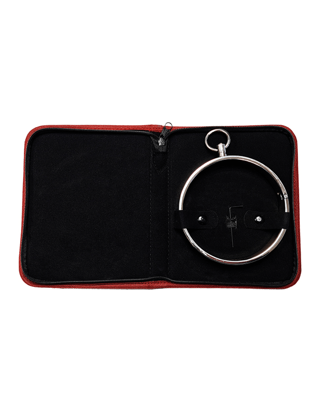Rouge Thick Stainless Steel Collar - Product With Case