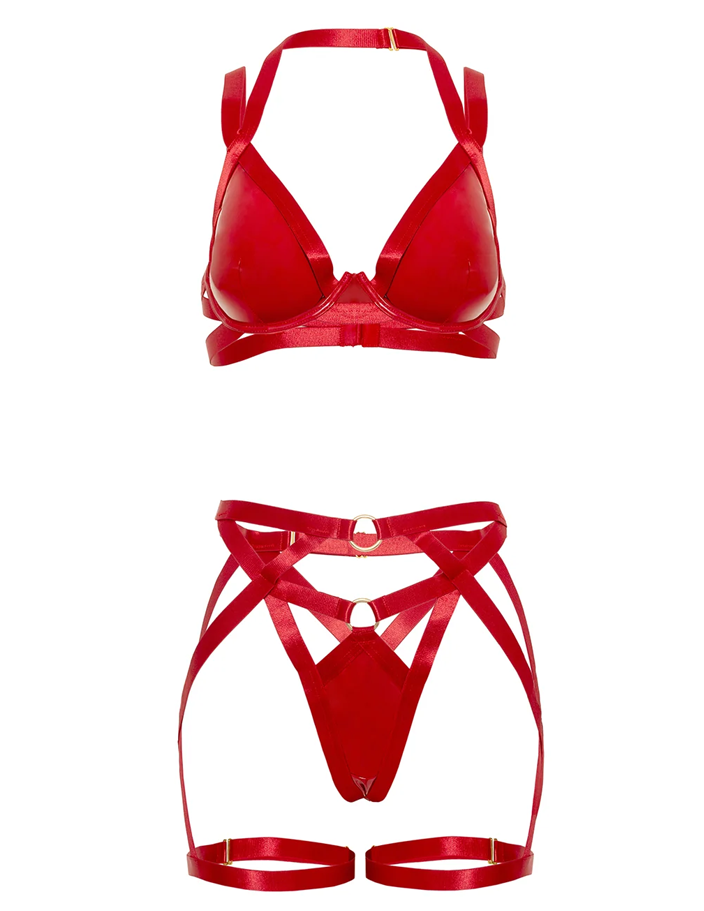 Lover Vinyl & Mesh Multi Strap Bra & Garter Thong Set