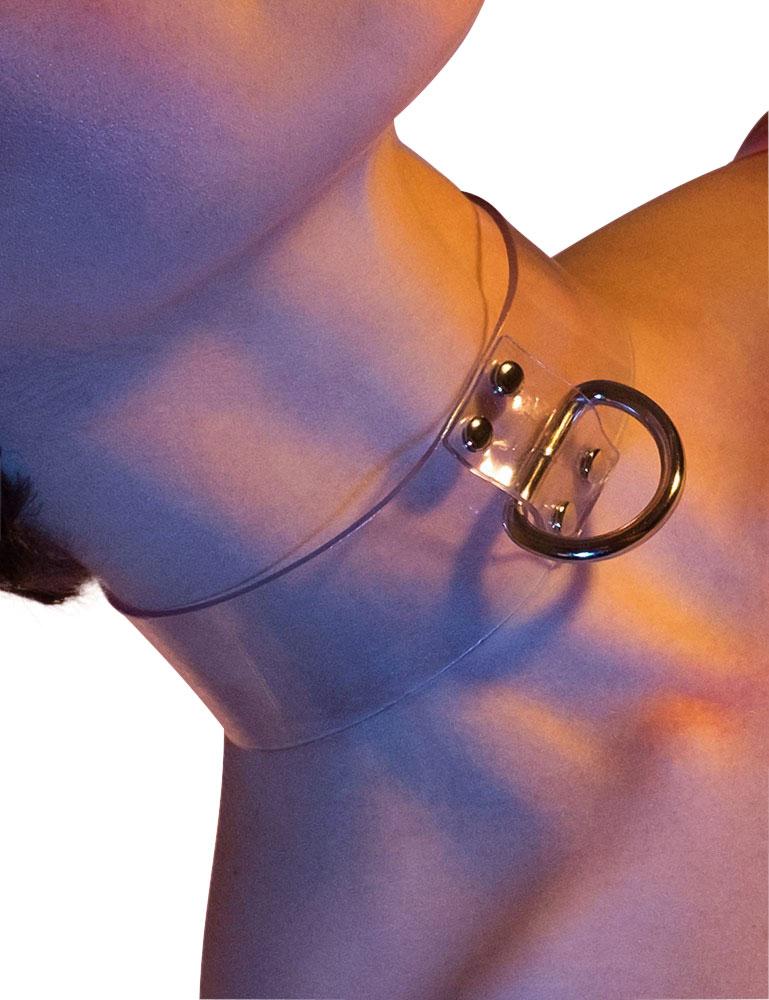 Clear CTRL Locking Collar with D-Ring- On Model