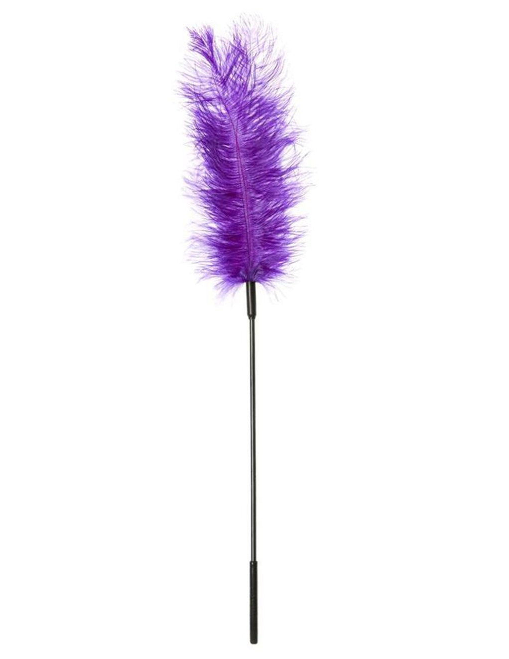 Sportsheets Ostrich Feather Tickler- Purple- Front
