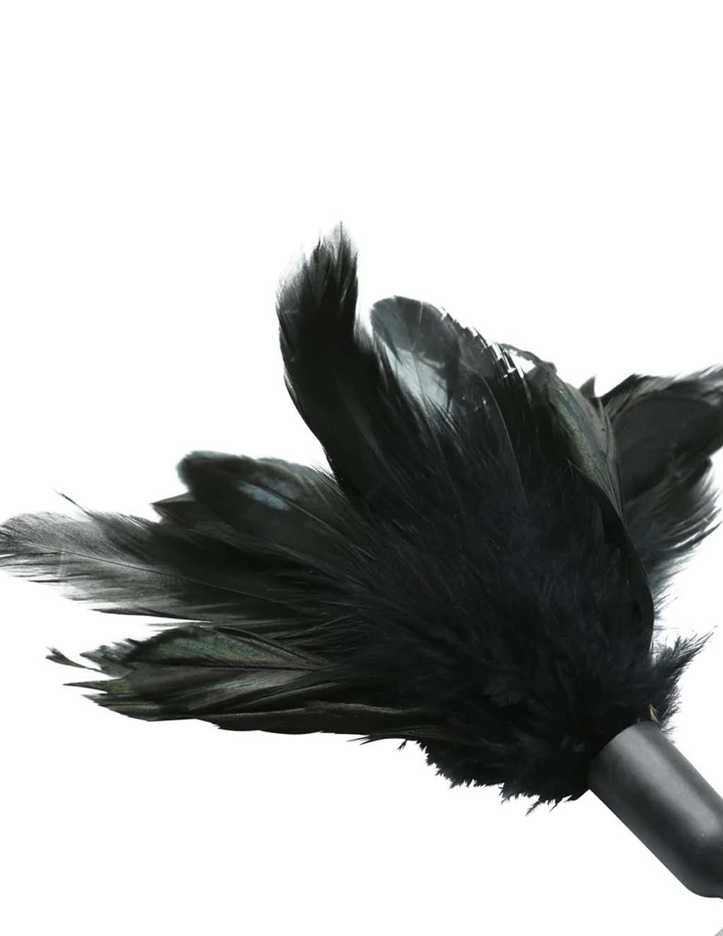 Sex & Mischief Starburst Feather- Black- Detail